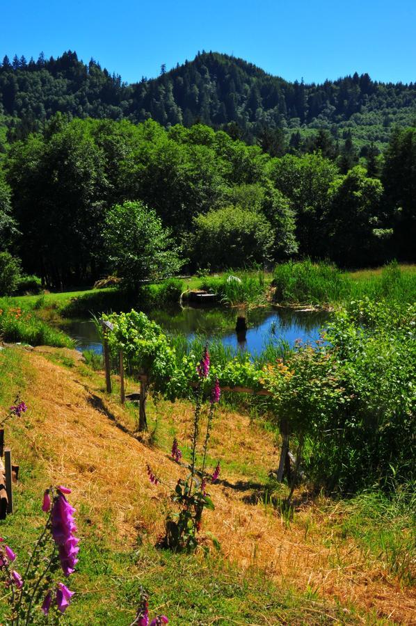 Lucky Mud Inn And Disc Golf Resort Skamokawa 外观 照片