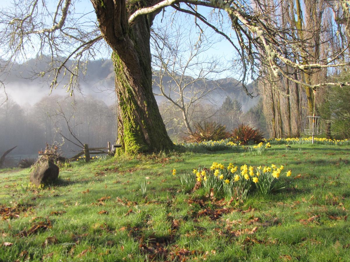 Lucky Mud Inn And Disc Golf Resort Skamokawa 外观 照片